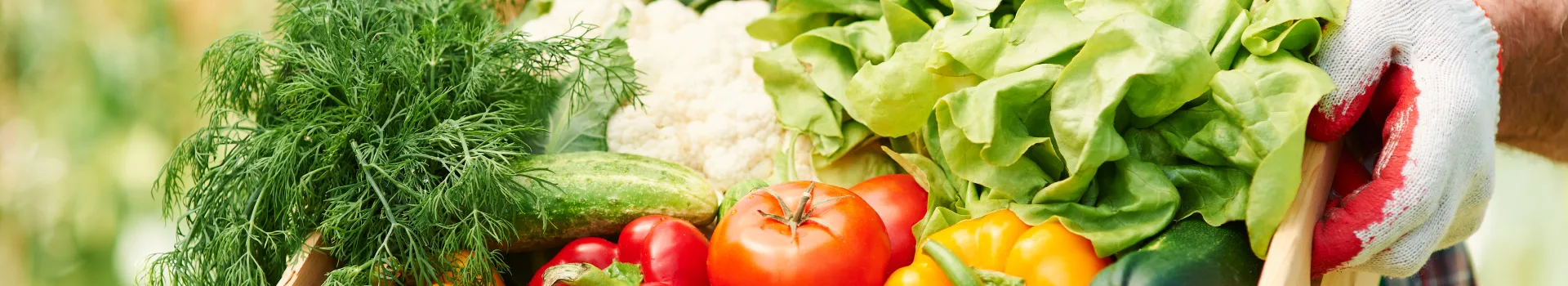 新北市農會真情食品館_常見問題