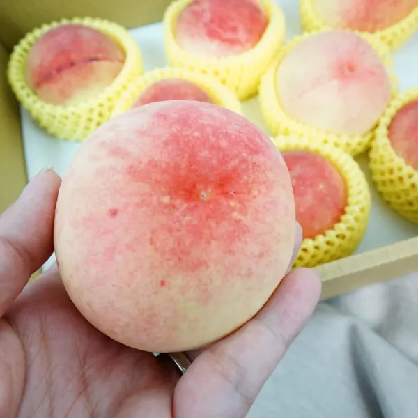 新北市農會真情食品館_卓家-拉拉山水蜜桃(10粒裝)