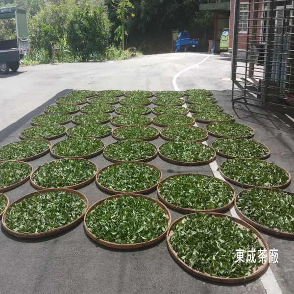 新北市農會真情食品館_東成-茶食系列-包種茶糖(TC-2)(120g/包)