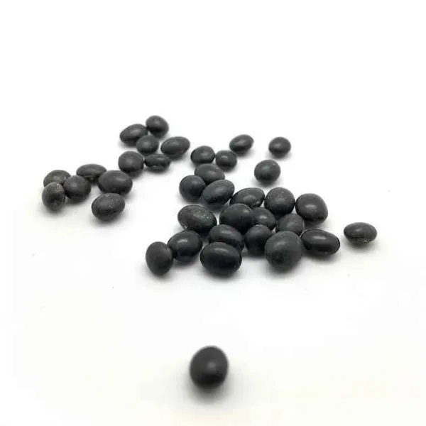 新北市農會真情食品館_台灣滿州有機原生種黑豆(600g/包)