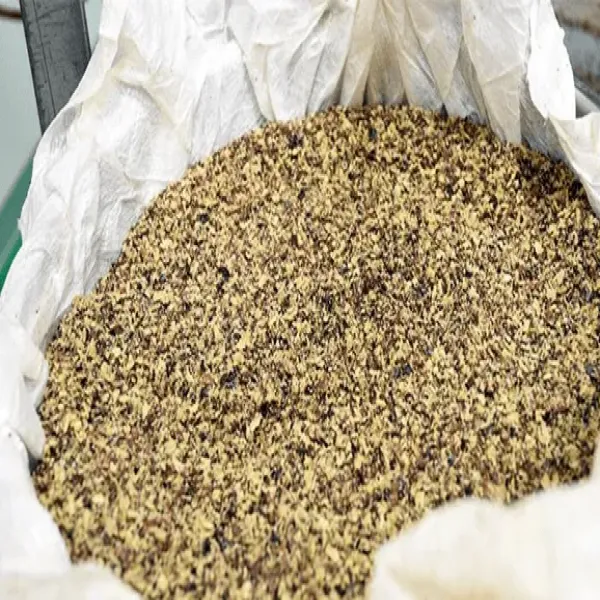 新北市農會真情食品館_苦茶油-天綠果(500ml)