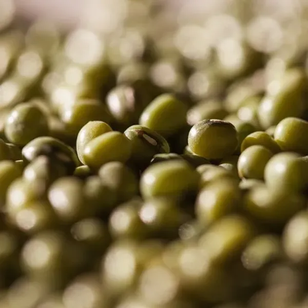 新北市農會真情食品館_里仁-有機綠豆(550g)