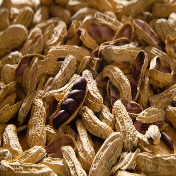 新北市農會真情食品館_北港黑金剛花生(500g)