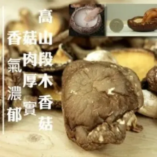 新北市農會真情食品館_有機高山段木香菇(100g/大菇)