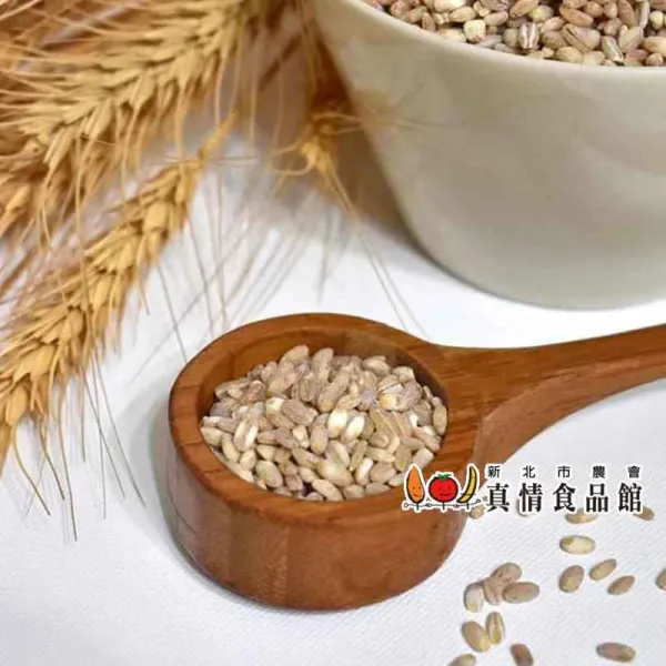 新北市農會真情食品館_大城小麥(1kg)-台灣小麥★生產追溯★