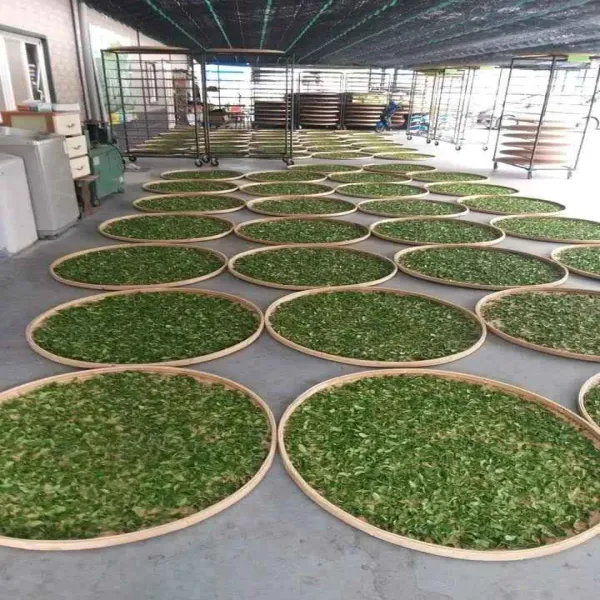 新北市農會真情食品館_玉露茶園-有機手採綠茶(150g)