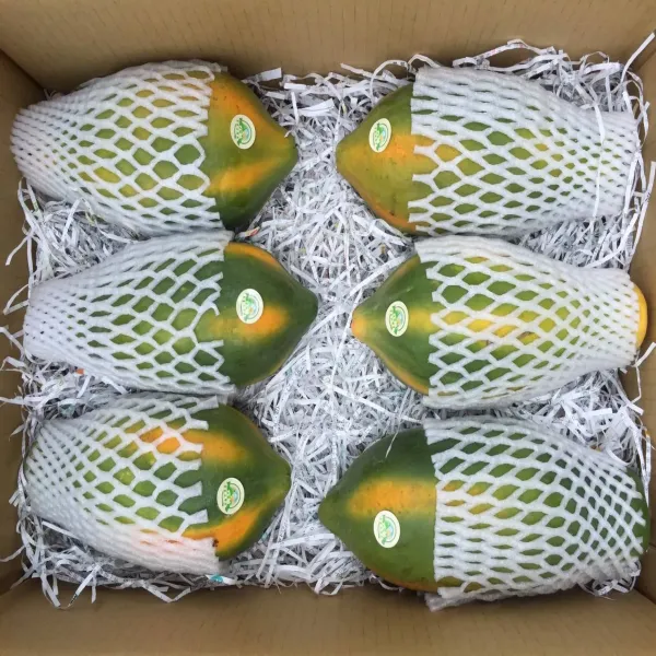 新北市農會真情食品館_富春山農場-台農2號木瓜(10台斤)★產銷履歷★