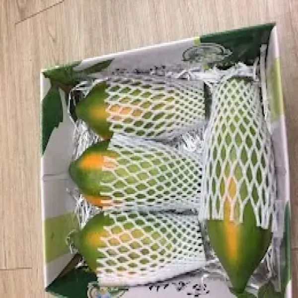 新北市農會真情食品館_富春山農場-台農2號木瓜(6台斤)★產銷履歷★