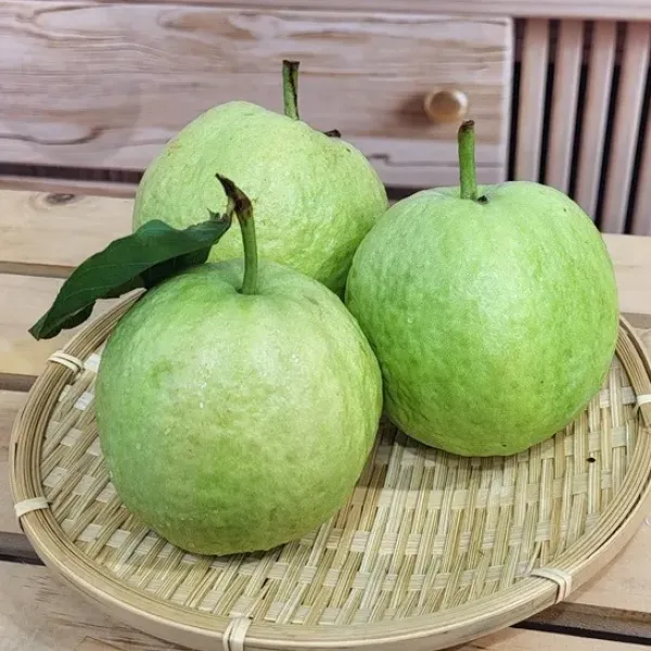 新北市農會真情食品館_社頭陳家冠軍紅心芭樂5台斤(6-8顆)★產銷履歷★