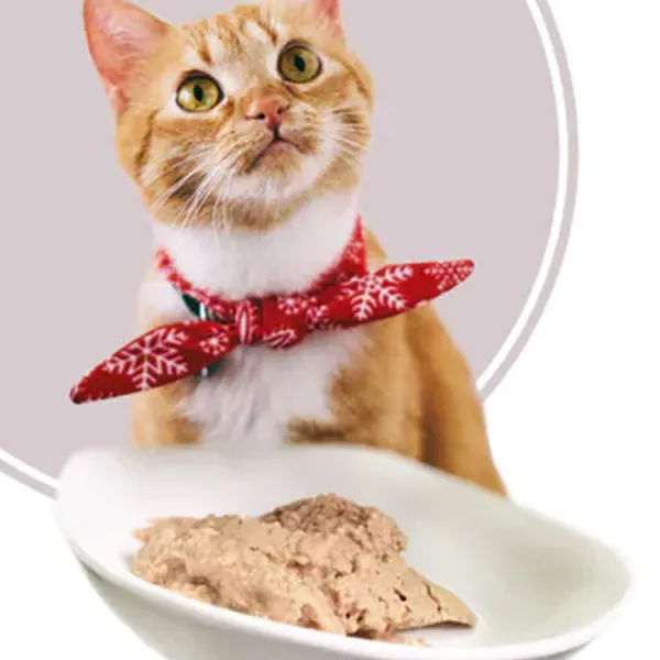 新北市農會真情食品館_寶昕-寵愛貓咪主食餐【貓咪也瘋狂】(任選6入)