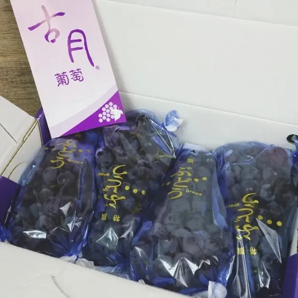新北市農會真情食品館_古月-特選巨峰葡萄(冬果/2kg)★產銷履歷★