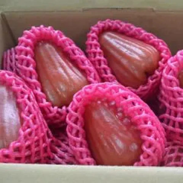 新北市農會真情食品館_頭等蜜風鈴蓮霧XL(5台斤X2盒)