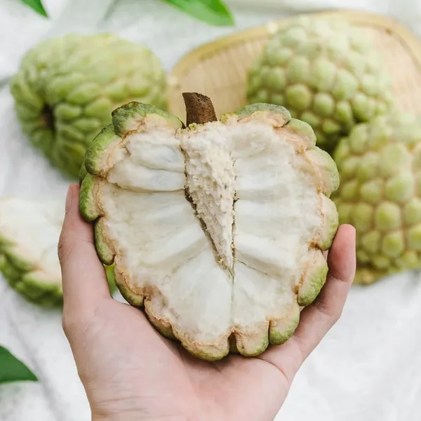 新北市農會真情食品館_好時果子-大目釋迦(5台斤/5-7粒)★產銷履歷★