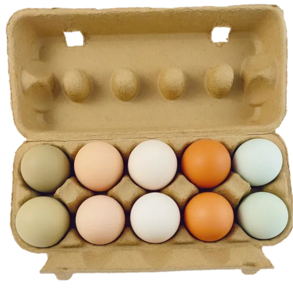 新北市農會真情食品館_御品園放牧雞蛋禮盒特惠組★產地直送★