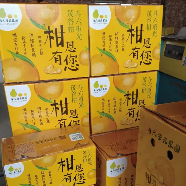 新北市農會真情食品館_(2箱)茂谷柑(27A6斤/13-15粒)★產銷履歷★