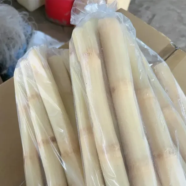 新北市農會真情食品館_【蔗° 辳家樂】紅甘蔗(600gx3包)★啃甘蔗-童年的回憶