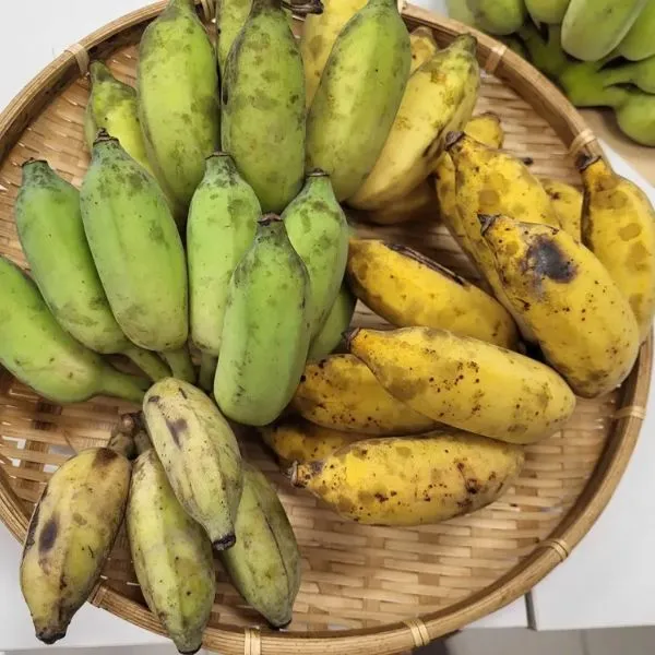 新北市農會真情食品館_【型農‧昇泰有機】有機芭蕉 (6台斤)★高雄首選★