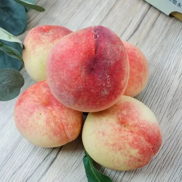 新北市農會真情食品館_卓家-拉拉山水蜜桃(10粒裝)