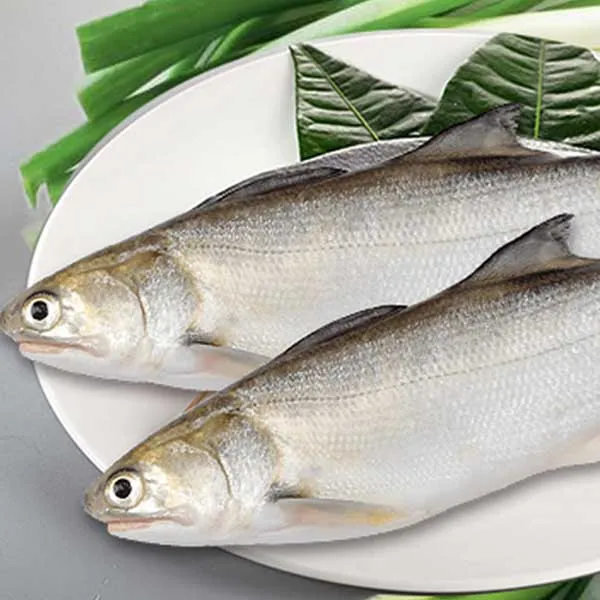 新北市農會真情食品館_午仔魚(250-300g/2尾*4包)★產銷履歷★