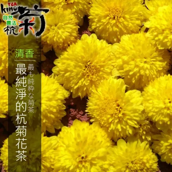 新北市農會真情食品館_天菊農場-天菊花加枸杞茶包(2.4g x12袋)