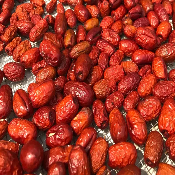 新北市農會真情食品館_苗栗公館紅棗乾(300g/包)