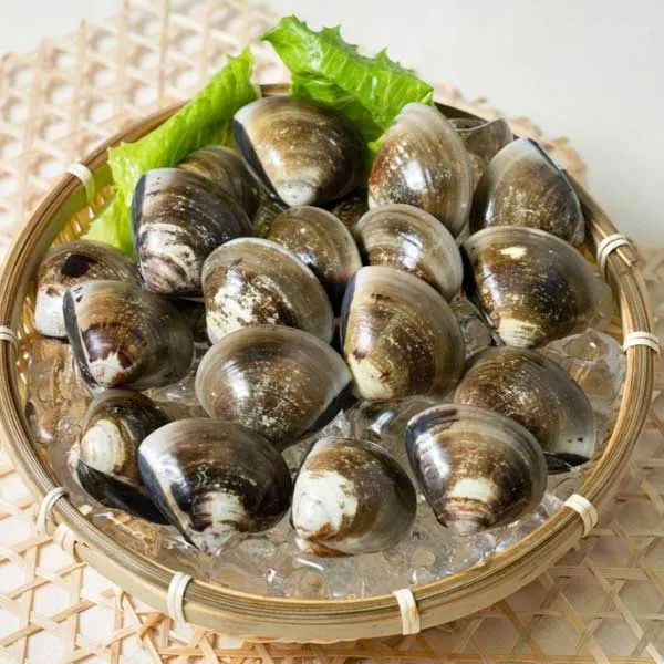 新北市農會真情食品館_冠軍(小)文蛤300g*3包(約23-37顆)-台西聚鮮★產銷履歷★