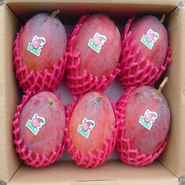 新北市農會真情食品館_南芝園愛文芒果5台斤(5-6粒)