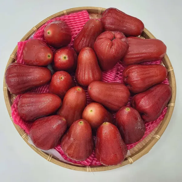 新北市農會真情食品館_頭等蜜風鈴蓮霧XL(5台斤X2盒)