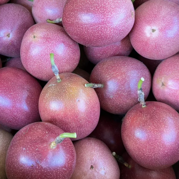 新北市農會真情食品館_埔里甜蜜蜜百香果(大果/5台斤/盒)