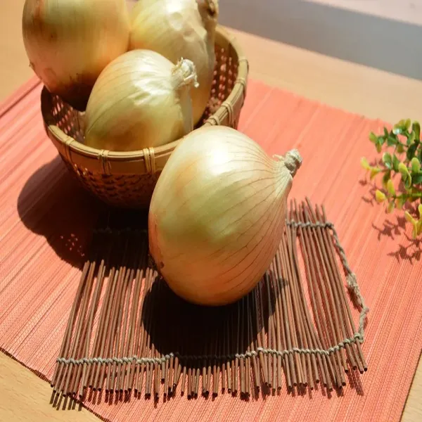 新北市農會真情食品館_恆春洋蔥(25台斤)★產銷履歷★