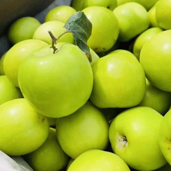 新北市農會真情食品館_(3盒)大社精品級珍蜜棗5斤20粒(高雄11號)