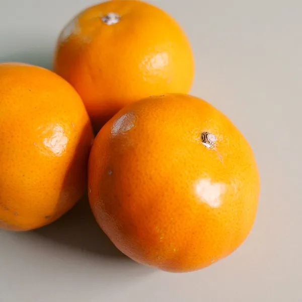 新北市農會真情食品館_(4箱)茂谷柑(30A-6斤/12-14粒)★產銷履歷★