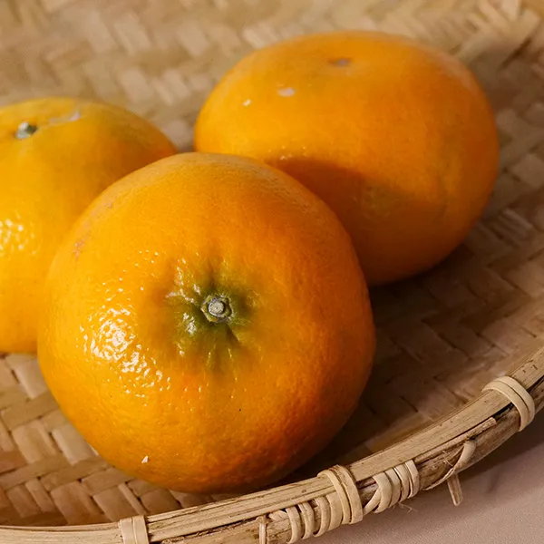 新北市農會真情食品館_(4箱)茂谷柑(25A-6斤/16-18粒)★產銷履歷★