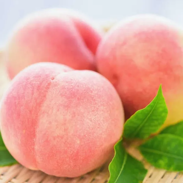 新北市農會真情食品館_梨山水蜜桃(8粒x6盒)